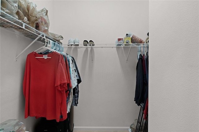 view of walk in closet