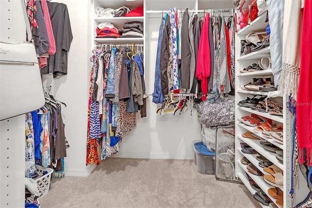 spacious closet featuring carpet