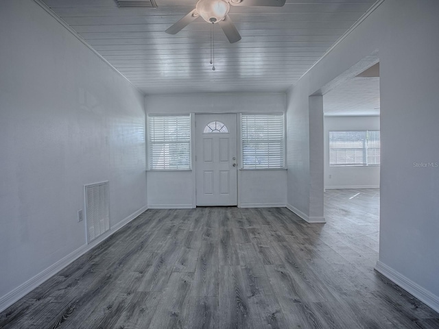 entrance foyer featuring ceiling fan, plenty of natural light, and wood-type flooring