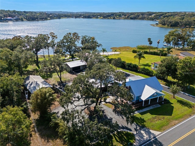 drone / aerial view with a water view