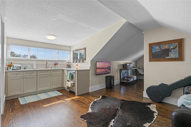 kitchen featuring lofted ceiling, dark wood-style flooring, light countertops, a textured ceiling, and a sink