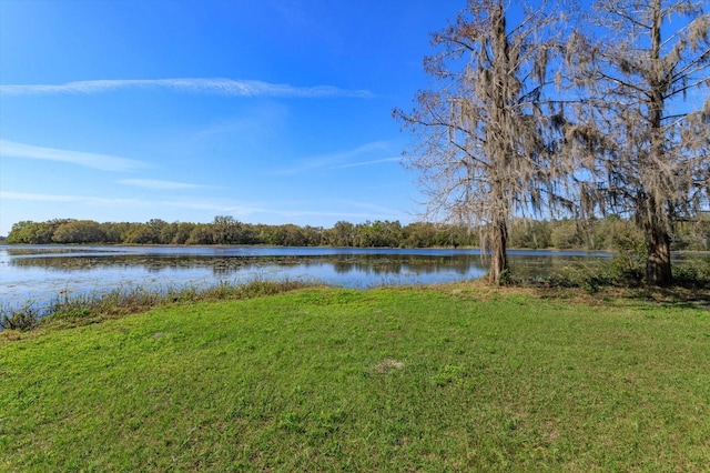 water view with a view of trees