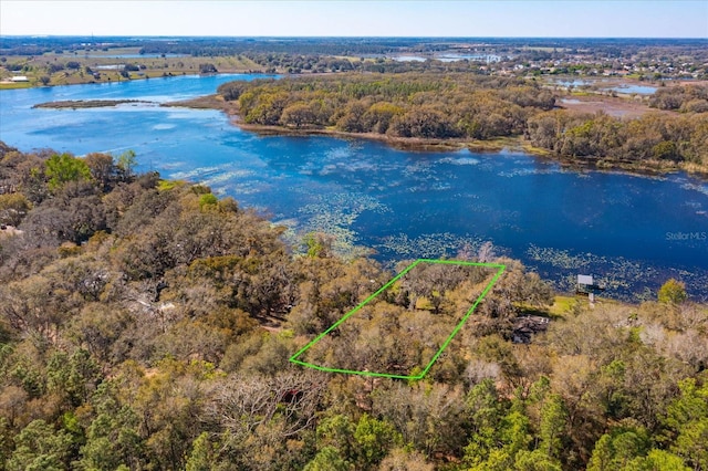 bird's eye view featuring a water view and a view of trees