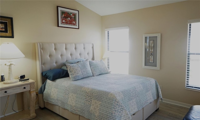 bedroom with dark hardwood / wood-style floors and multiple windows