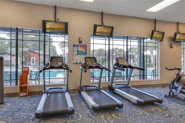 exercise room featuring dark colored carpet, a paneled ceiling, and a wealth of natural light