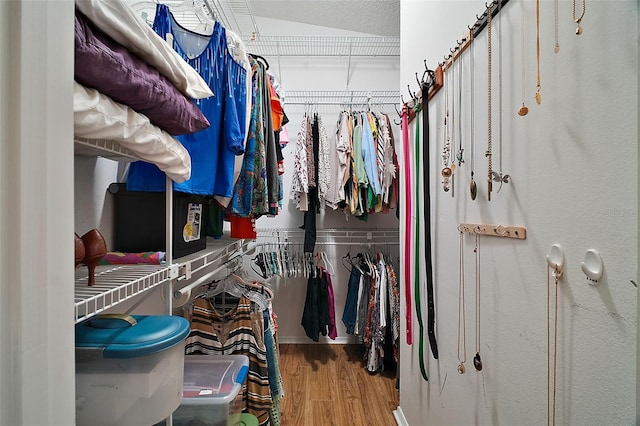 spacious closet with hardwood / wood-style flooring