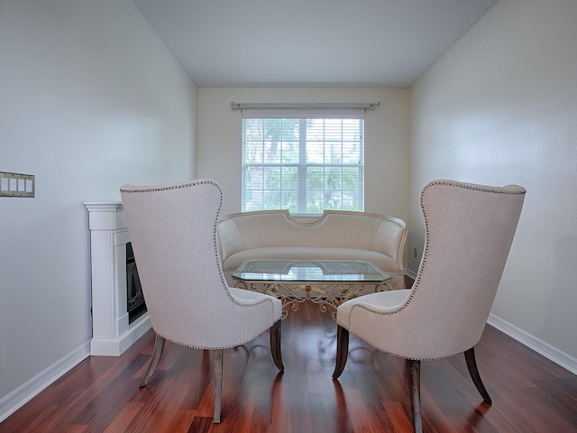 sitting room featuring dark hardwood / wood-style floors