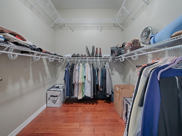 walk in closet with wood-type flooring