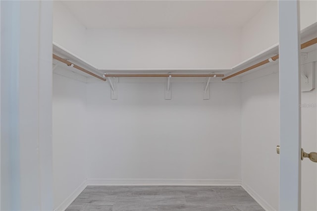 walk in closet featuring light hardwood / wood-style flooring