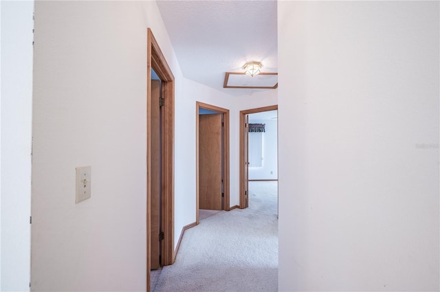 corridor with light carpet