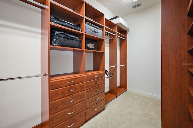 spacious closet with light colored carpet