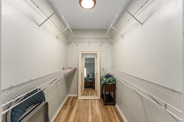 spacious closet with light hardwood / wood-style flooring