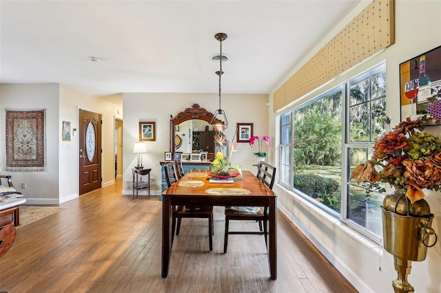 dining space with dark hardwood / wood-style flooring and a healthy amount of sunlight