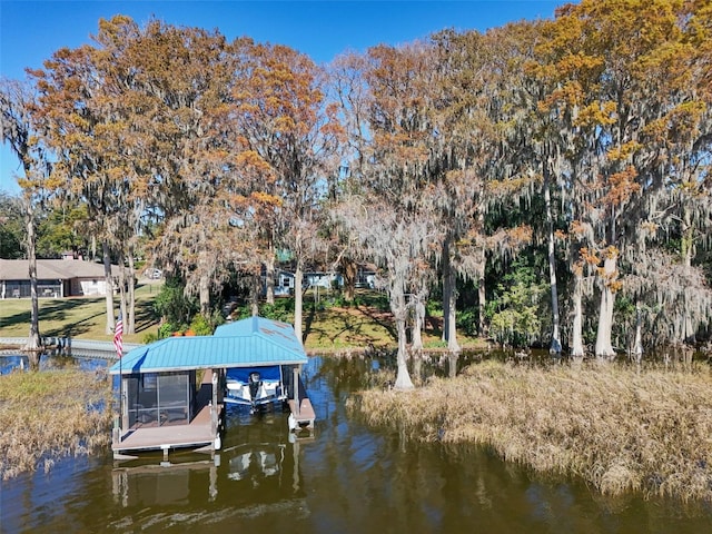 dock area with a water view