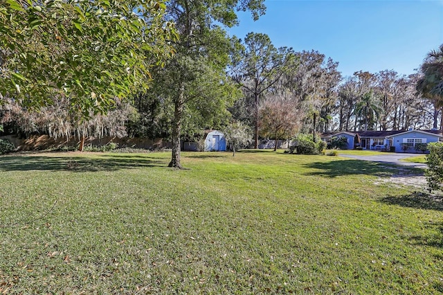 view of yard with a storage unit