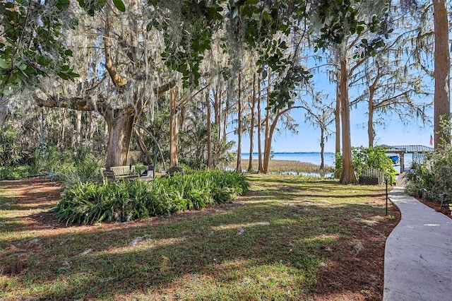 view of yard with a water view