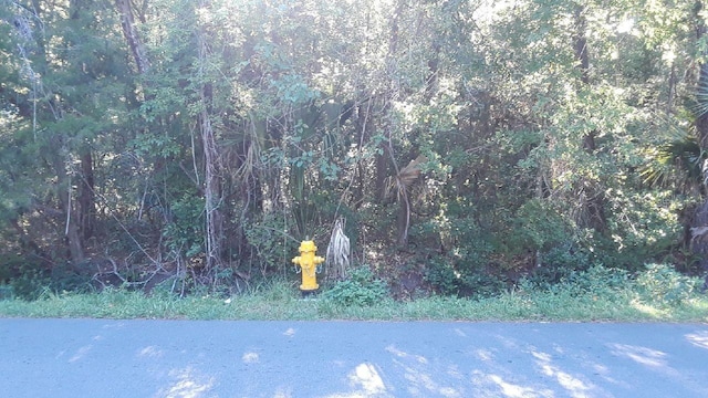 E Ave, Brooksville FL, 34601 land for sale