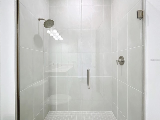 bathroom with a shower with shower door