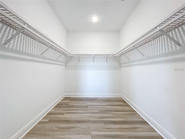 spacious closet featuring hardwood / wood-style flooring