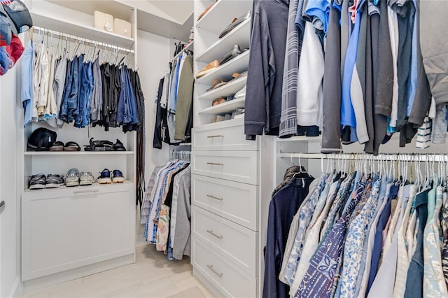 view of walk in closet