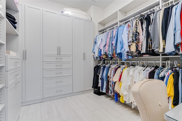 view of walk in closet