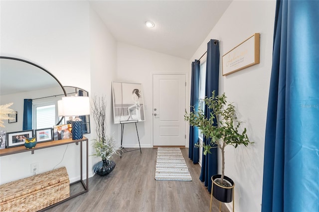 entryway with lofted ceiling and wood-type flooring