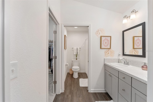 bathroom featuring toilet, vanity, and wood-type flooring