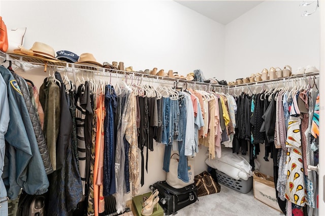 spacious closet featuring carpet flooring