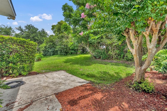 11941 Graces Way, Clermont, FL 34711 - view of green lawn with a patio area