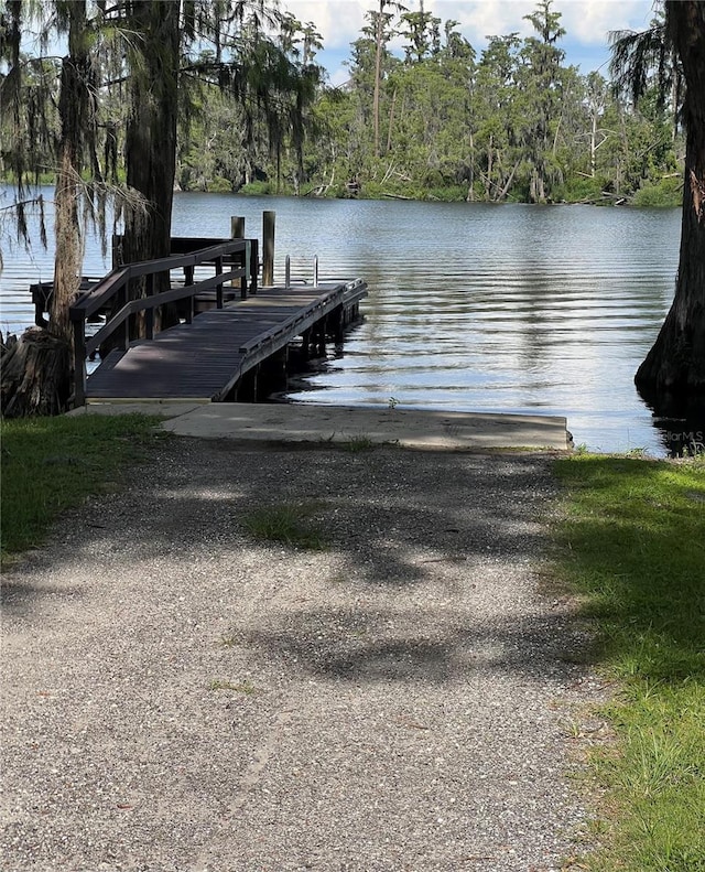 11941 Graces Way, Clermont, FL 34711 - photo 56