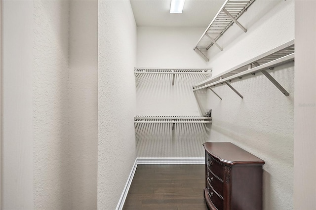 spacious closet featuring dark hardwood / wood-style flooring