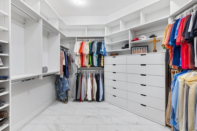 view of walk in closet