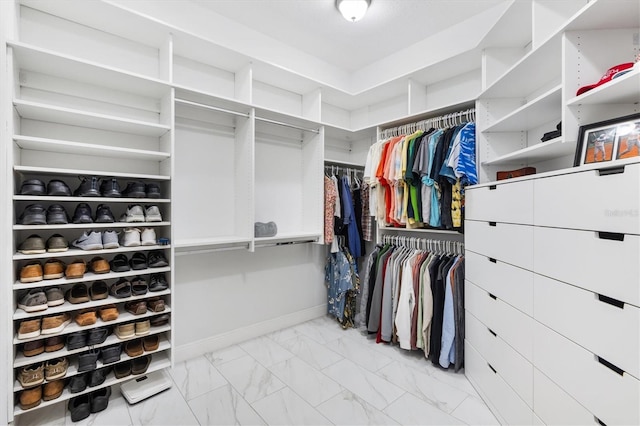 view of spacious closet