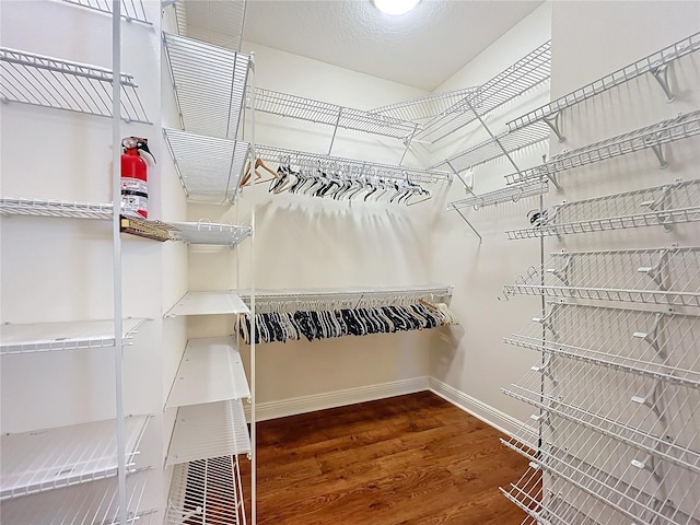 walk in closet featuring hardwood / wood-style floors