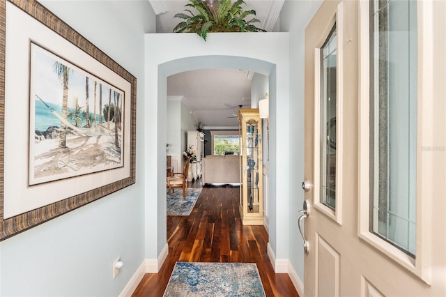 hallway with ornamental molding and dark wood-type flooring