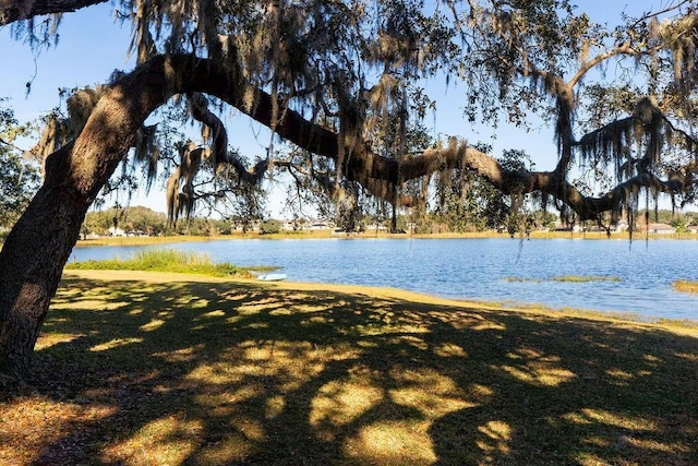 water view