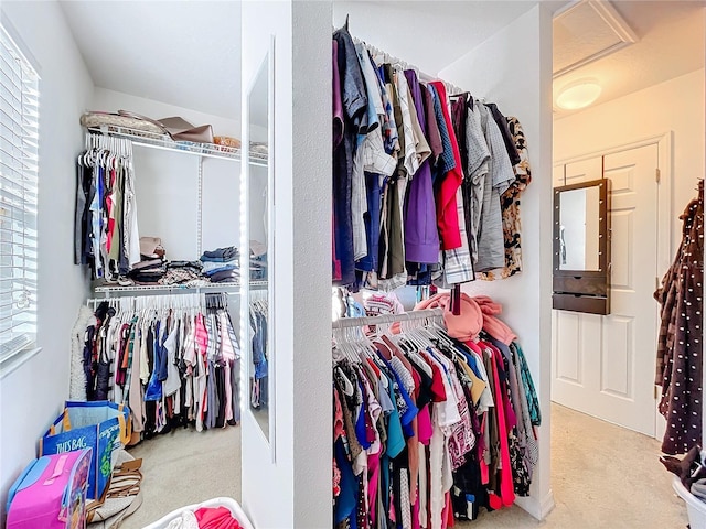 spacious closet with light carpet