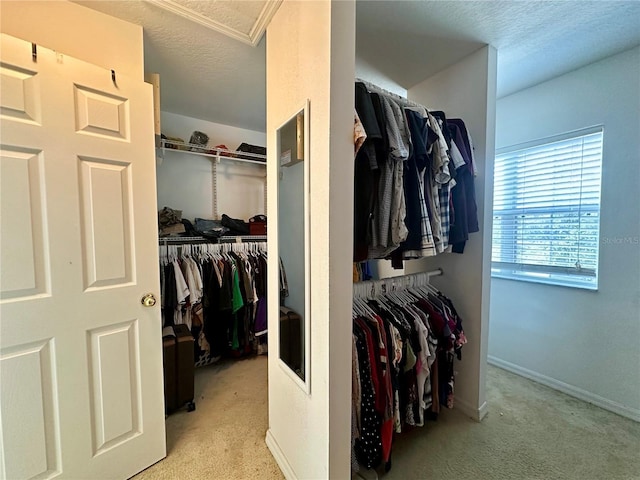 walk in closet featuring light colored carpet