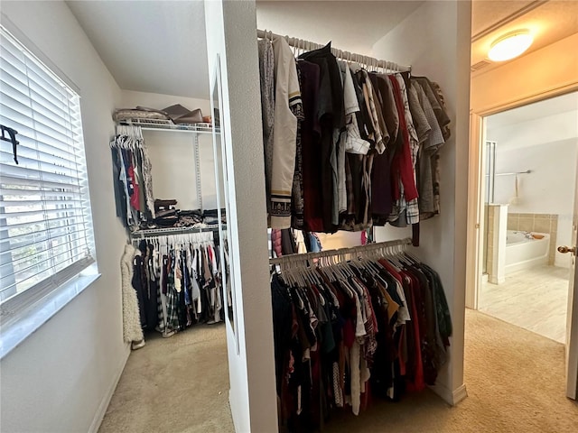 spacious closet with light carpet