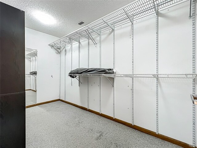 1701 Cedar Stone Ct, Lake Mary, FL 32746 - spacious closet with carpet