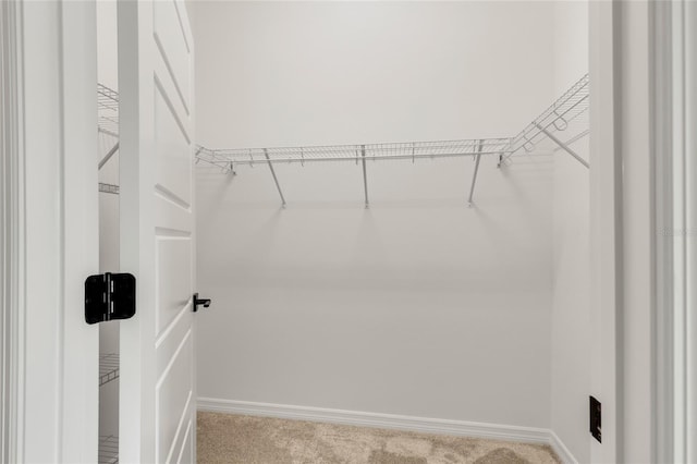 walk in closet with carpet