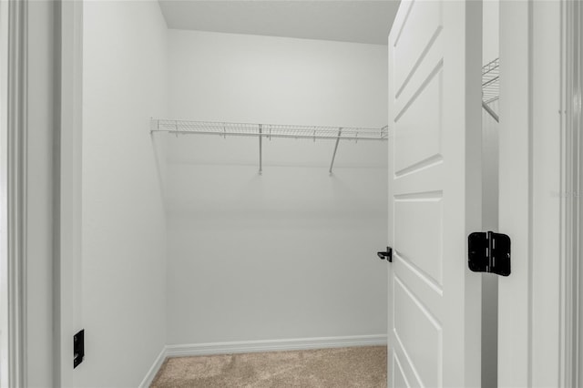 spacious closet featuring light carpet