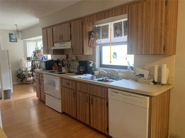 kitchen featuring pendant lighting, white appliances, a wealth of natural light, and sink