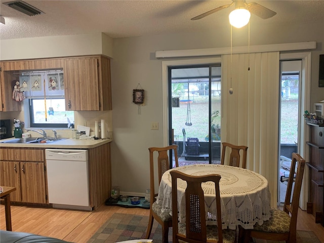 kitchen featuring dishwasher, a textured ceiling, a wealth of natural light, and sink