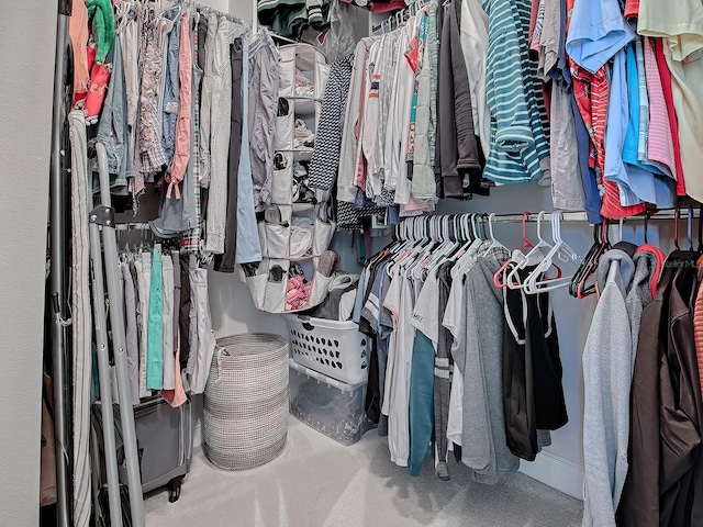 spacious closet with carpet floors