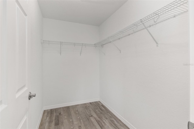 walk in closet with hardwood / wood-style flooring