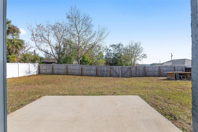 view of yard featuring a patio