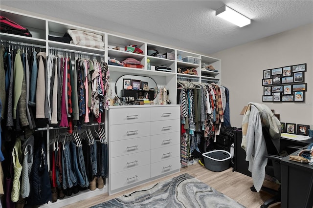 walk in closet with light hardwood / wood-style floors