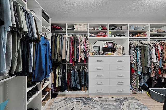 spacious closet featuring light wood-type flooring