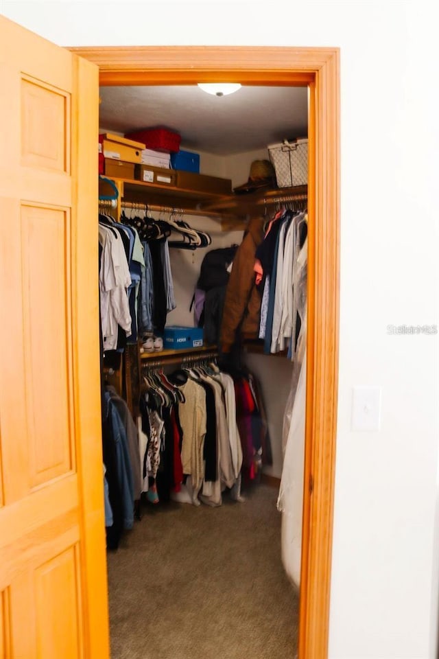 spacious closet with carpet floors